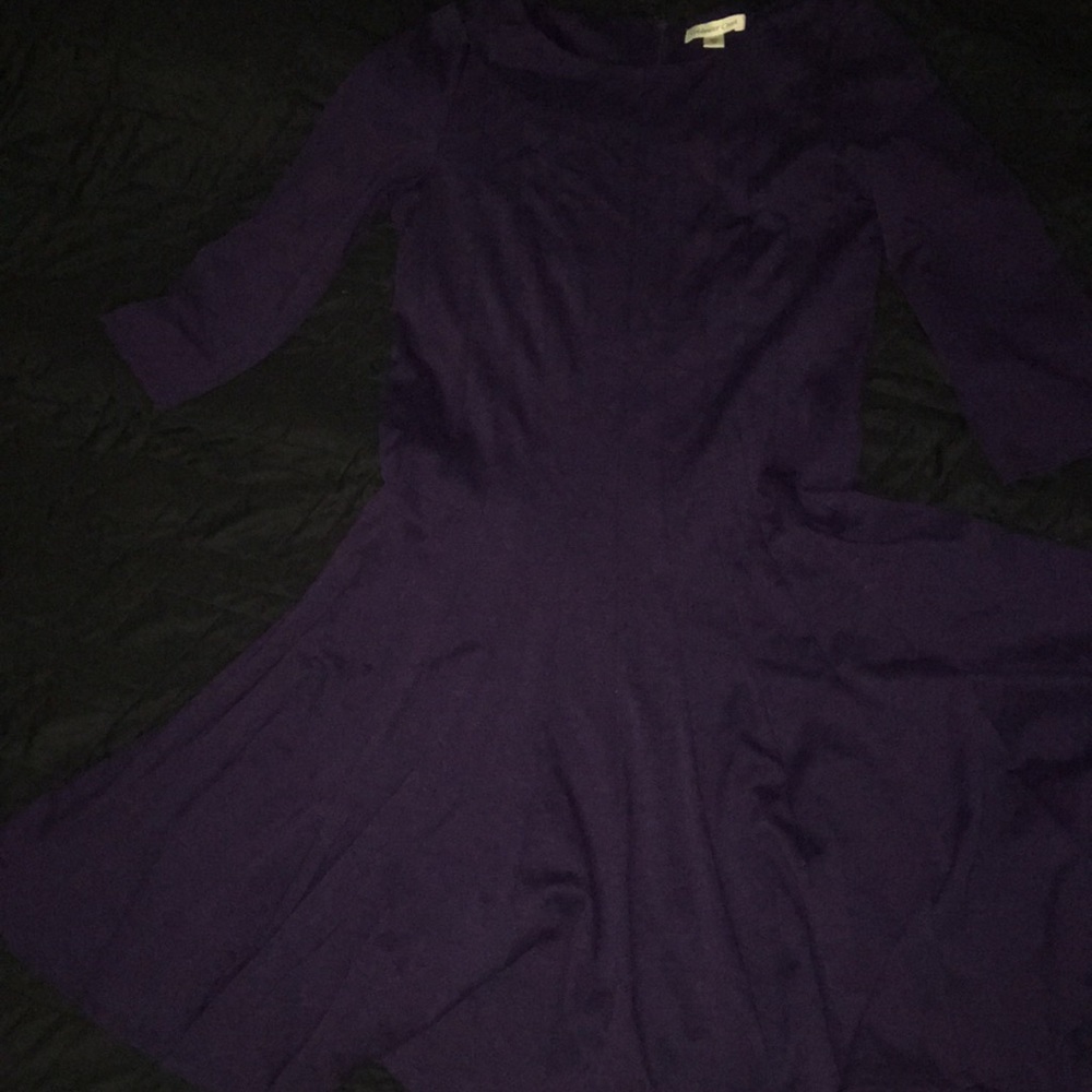 Coldwater Creek purple swing dress 10